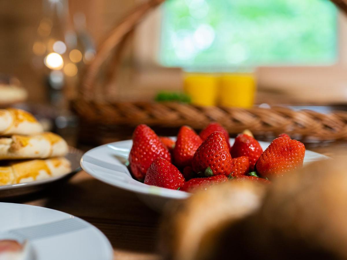 ホテル Treehous Sneznik S Wellness Dolní Morava エクステリア 写真
