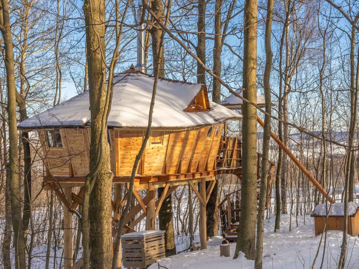 ホテル Treehous Sneznik S Wellness Dolní Morava エクステリア 写真