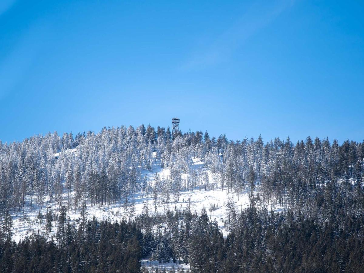 ホテル Treehous Sneznik S Wellness Dolní Morava エクステリア 写真