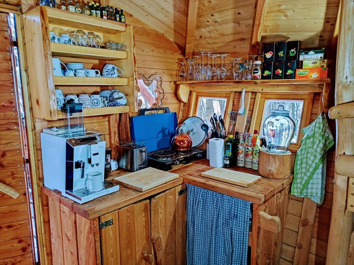 ホテル Treehous Sneznik S Wellness Dolní Morava エクステリア 写真