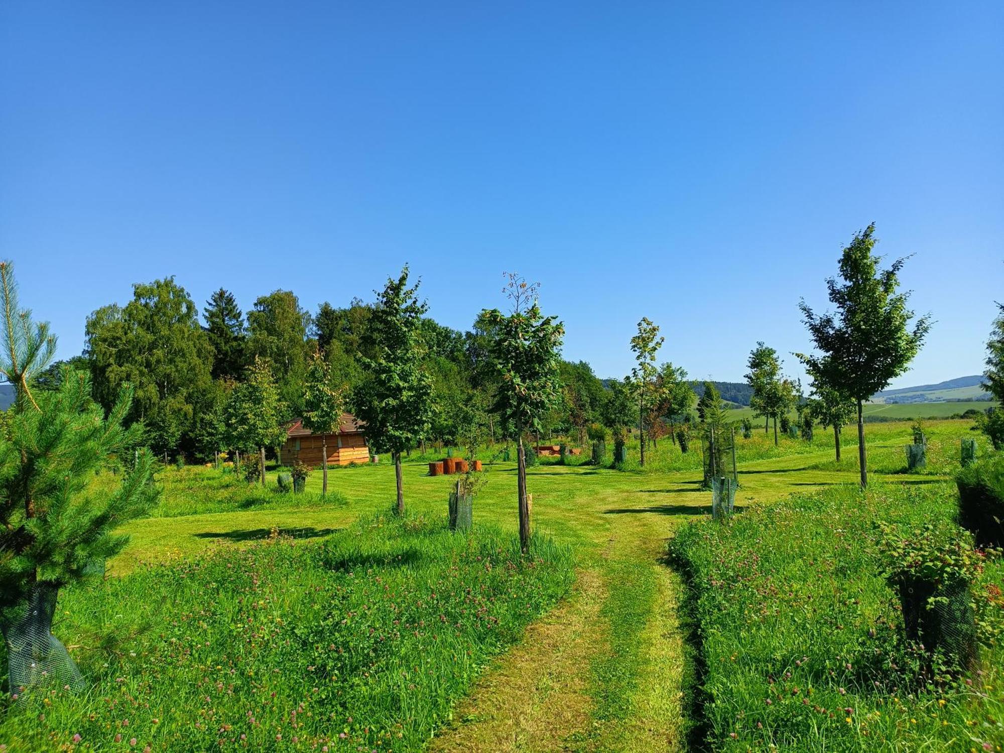 ホテル Treehous Sneznik S Wellness Dolní Morava エクステリア 写真